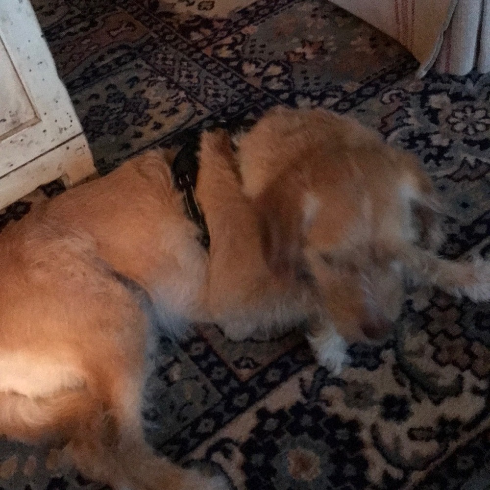 Meet your Posher, Beverly